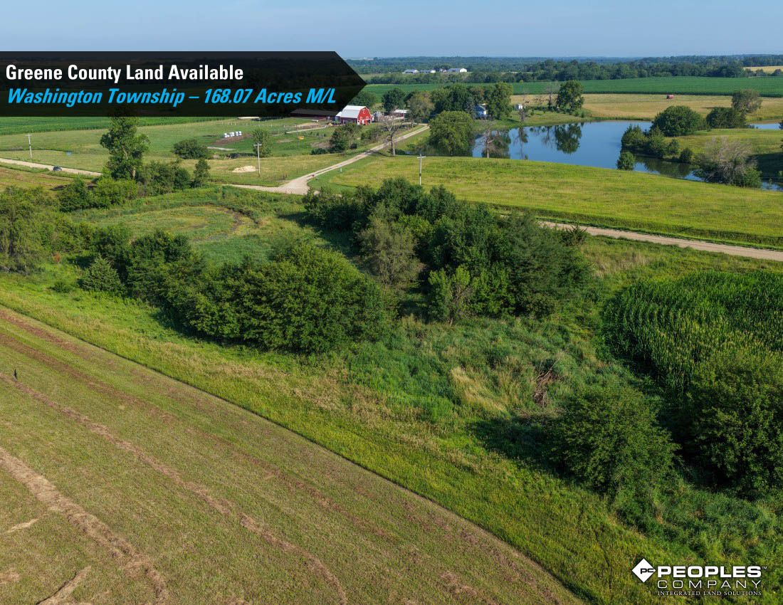 Listing Photo: Greene-County-Land-Available-168-Acres-19616 (9)